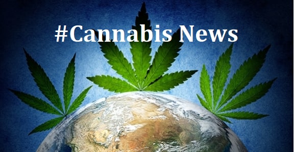 Cannabis News