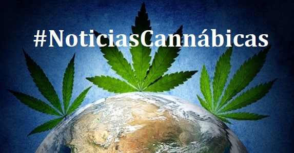 Noticias Cannabicas de España